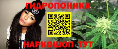 ешки Пугачёв