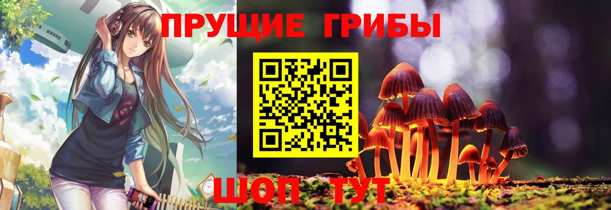 Похвистнево  Галлюциногенные грибы мухоморы  Вход с VPN 